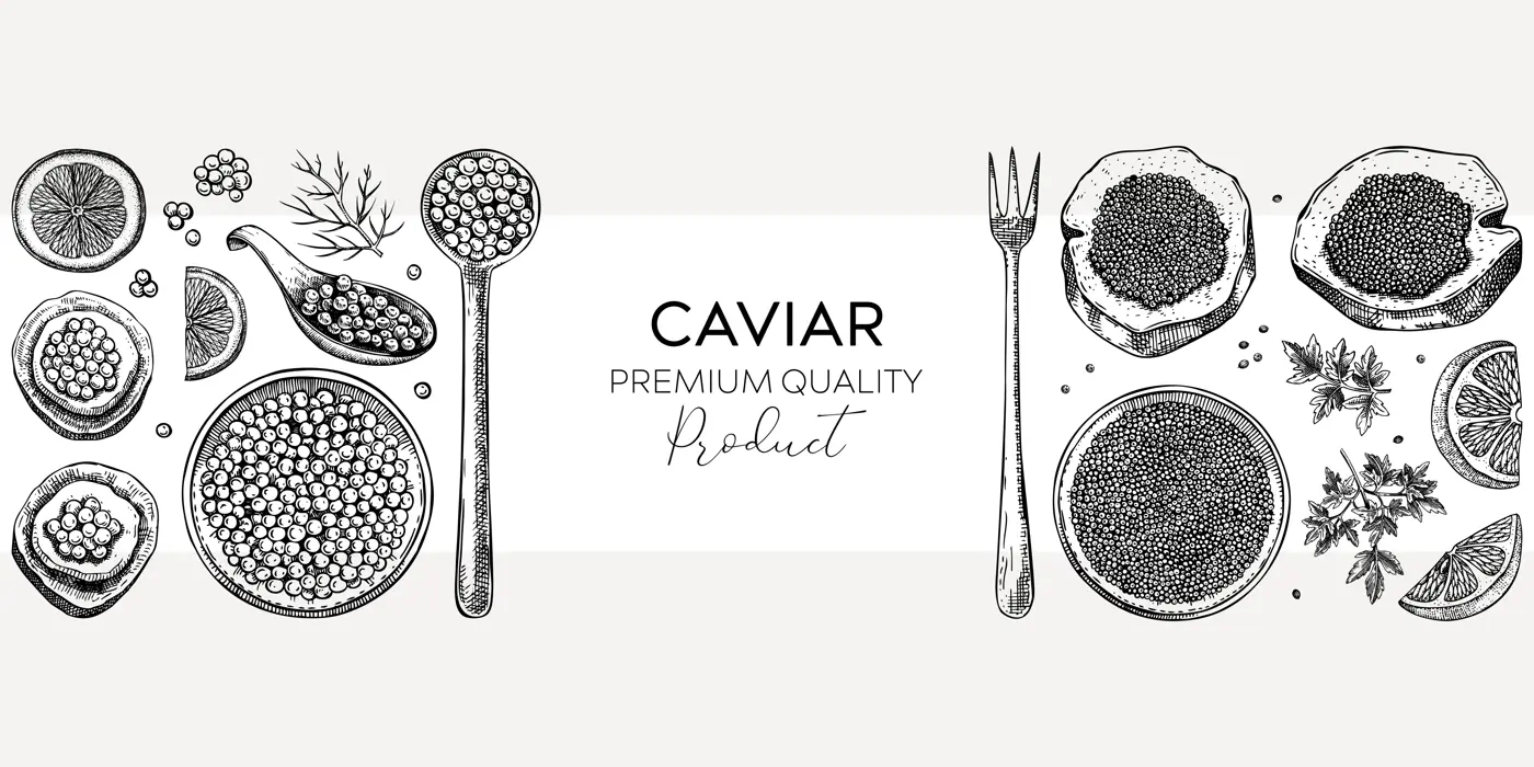 Seafood background design with red caviar canape, canned black caviar, lemons and spices in sketched style. Sea delicacy illustrations set for restaurant or finger food menu Illustration